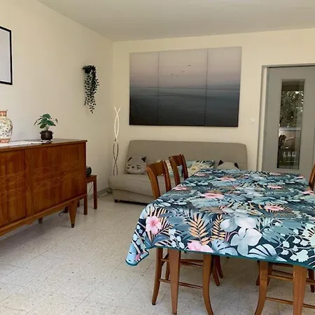 Proche Des Thermes A Balaruc-les-bains, Animaux Admis, Climatise - Fr-1-503-11 Balaruc-les-Bains