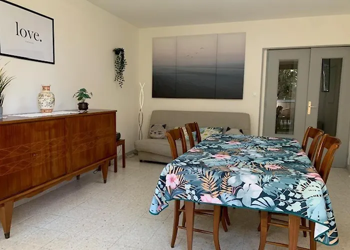 Proche Des Thermes A Balaruc-les-bains, Animaux Admis, Climatise - Fr-1-503-11 Balaruc-les-Bains