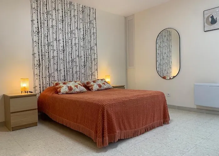 Apartment Proche Des Thermes A Balaruc-les-bains, Animaux Admis, Climatise - Fr-1-503-11 *