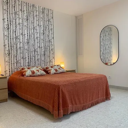 Daire Proche Des Thermes A Balaruc-les-bains, Animaux Admis, Climatise - Fr-1-503-11 *