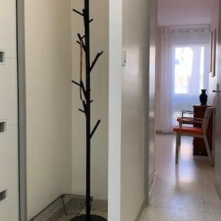 Avec Parking, Clim, P. Animaux, Proche Thermes A - Fr-1-503-11 * بالاروك ليه بان