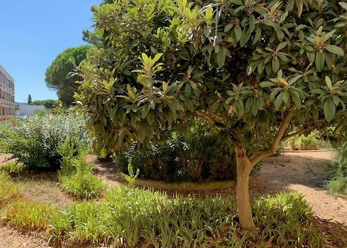 Proche Des Thermes A Balaruc-les-bains, Animaux Admis, Climatise - Fr-1-503-11 Apartmán *